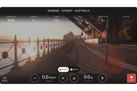BIEŻNIA TRENINGOWA CITIUS CHERRY WIŚNIA /NOHRD