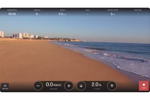 BIEŻNIA TRENINGOWA CITIUS SHADOW BUK /NOHRD